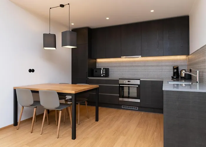 Self-Check-In Spacious 1 Bedroom Apartment With Terrace And Free Parking